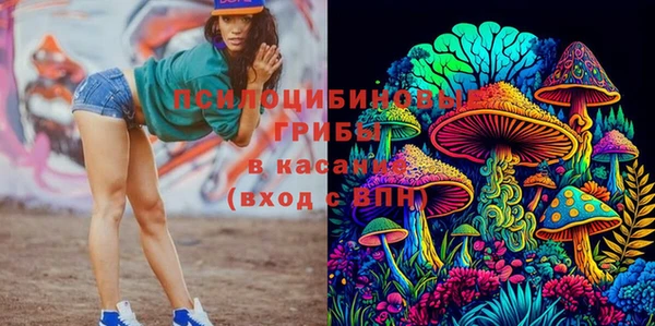 ешки Алексеевка