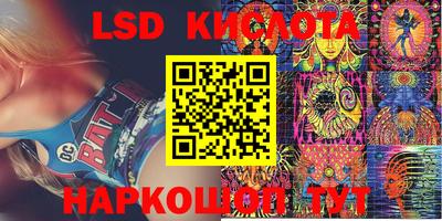 спайс Кингисепп