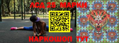 спайс Кингисепп