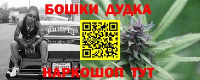 спайс Кингисепп