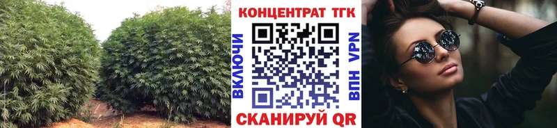 Дистиллят ТГК вейп с тгк  MEGA зеркало  Лесной  закладки 