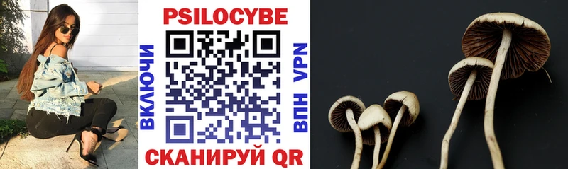 hydra как зайти  Лесной  Псилоцибиновые грибы прущие грибы  где купить  